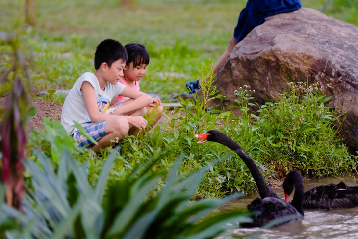 Sống ở Ecopark, trẻ có tuổi thơ gần gũi thiên nhiên - Ảnh 8.