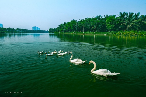  Dự án Ecopark Vinh Nghệ An có những ưu điểm nổi bật gì khiến khách hàng tại đây săn lùng